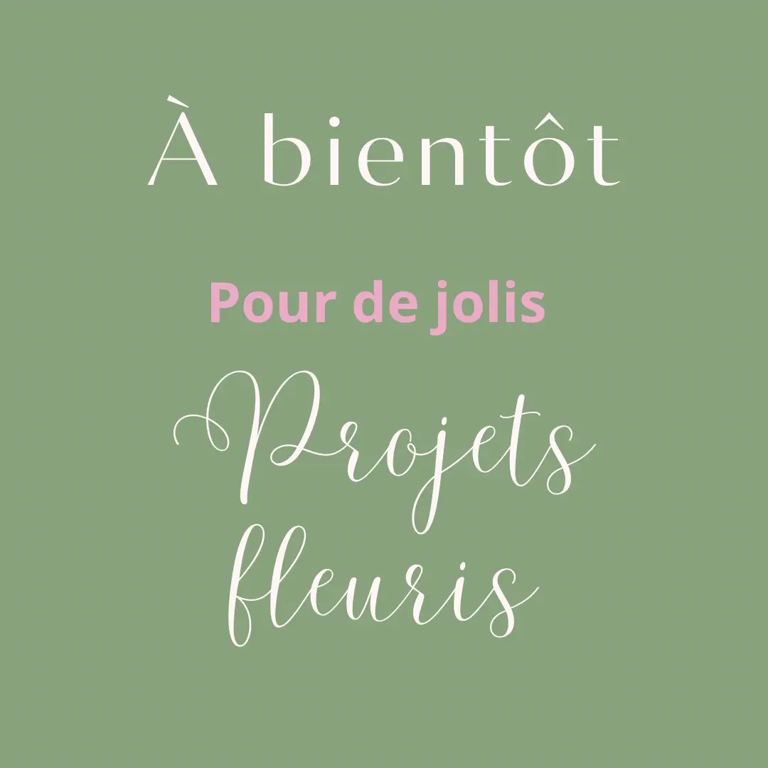 Plaquette Tarifs