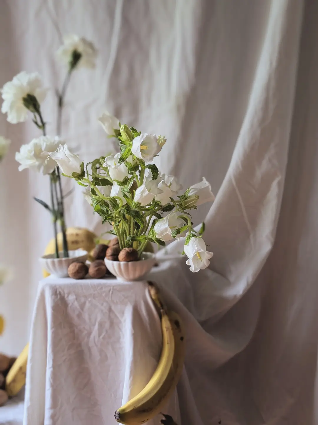 Scénographie fruits et fleurs – Shooting Fleurs & Cie