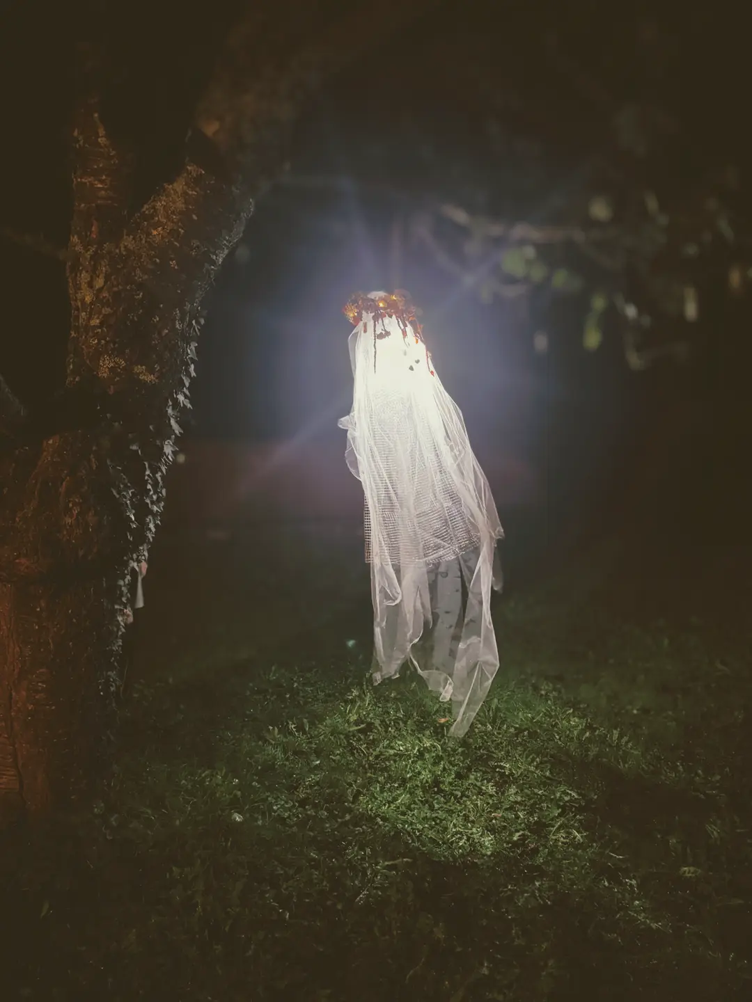 shooting d'inspiration – Halloween 2024