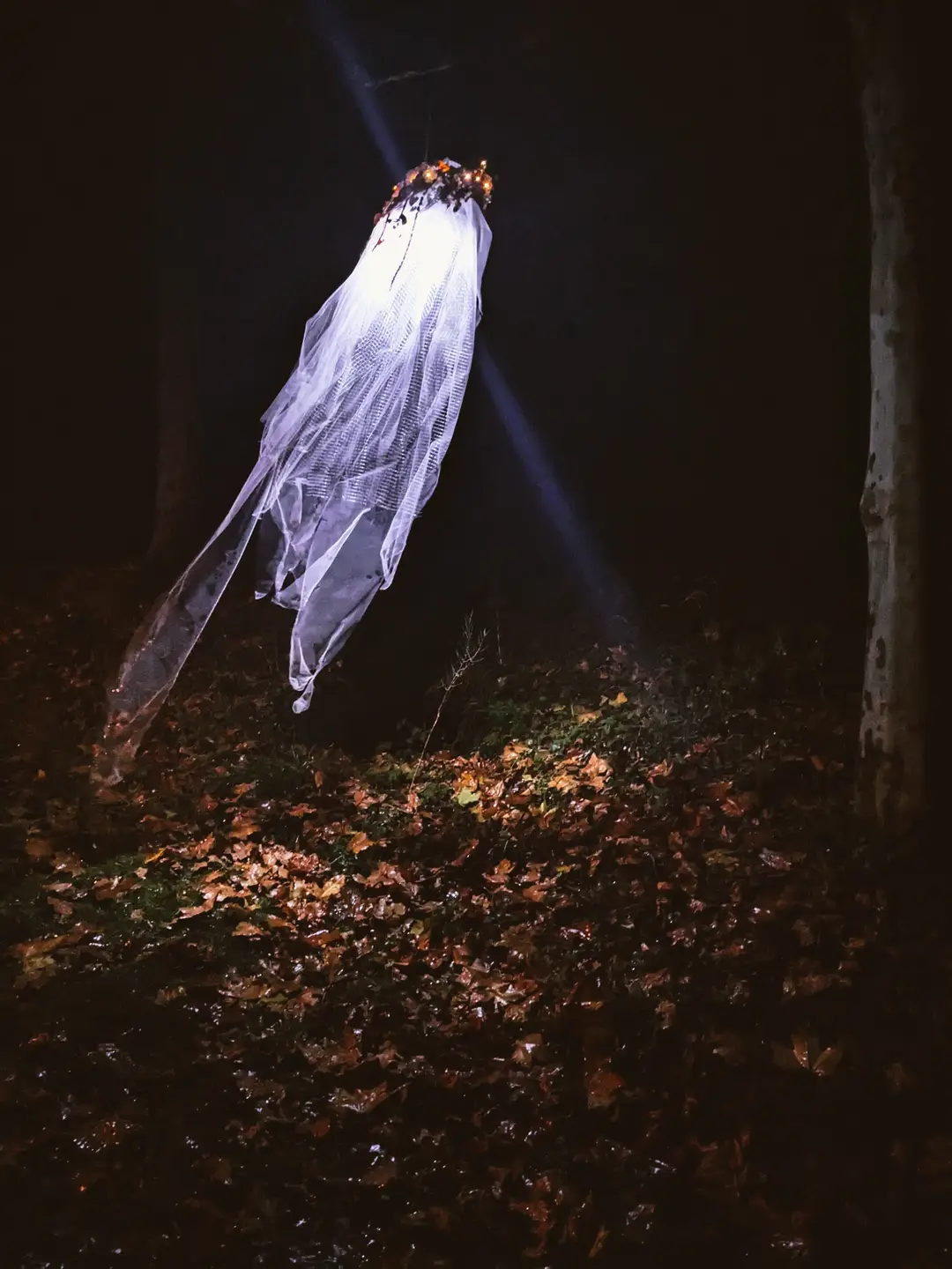 shooting d'inspiration – Halloween 2024