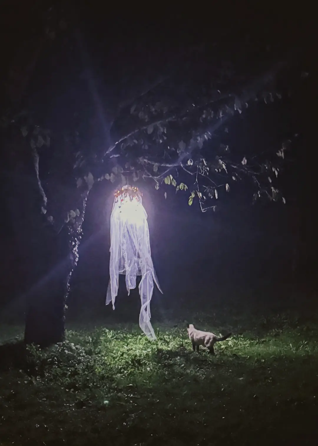 shooting d'inspiration – Halloween 2024