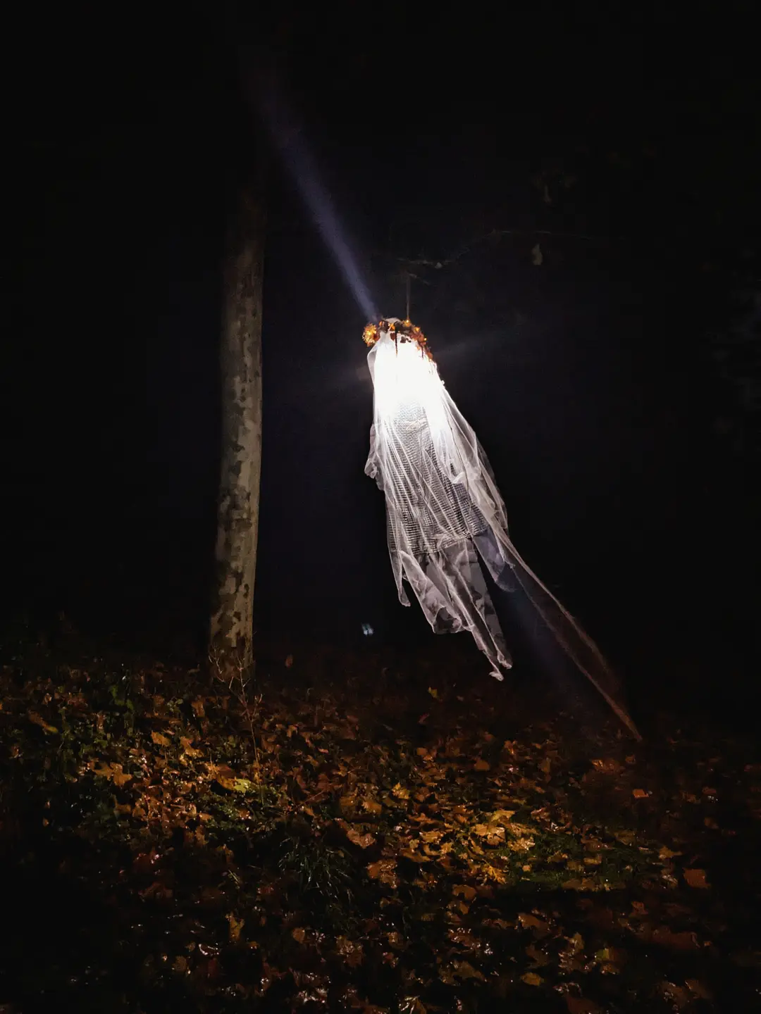 shooting d'inspiration – Halloween 2024