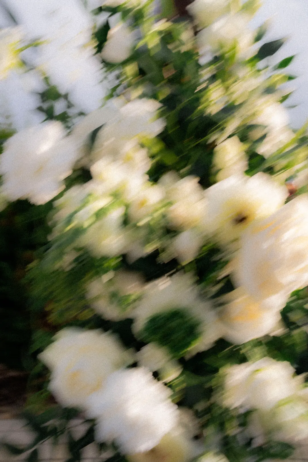 zoom arche fleurie – mariage Sylvie & François, Belvédère du Domaine