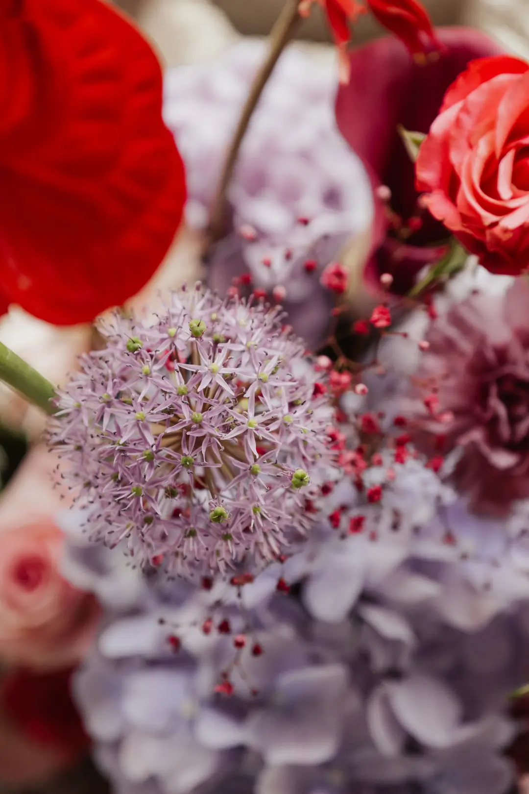 Zoom fleurs – Shooting d'inspiration, Airial de Lachayre