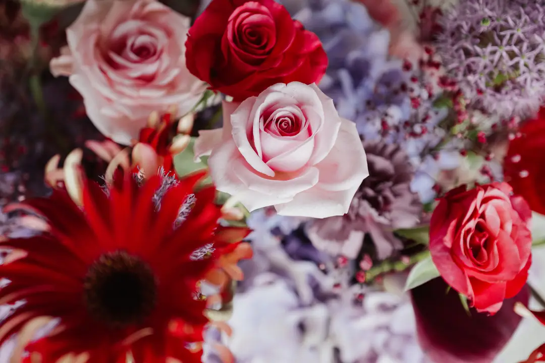 Zoom fleurs – Shooting d'inspiration, Airial de Lachayre